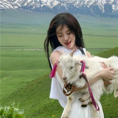 求婚大作战